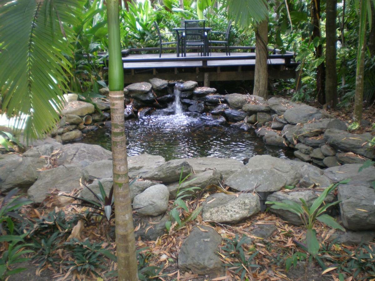 Hidden Gem @ Palm Cove Apartment Exterior photo